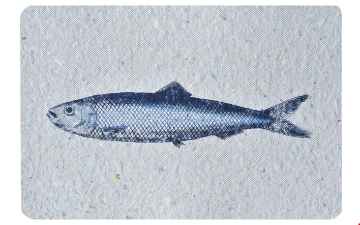 Vis van papier van Studio Mabelle